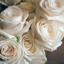 Classic Dozen Rose Bouquet